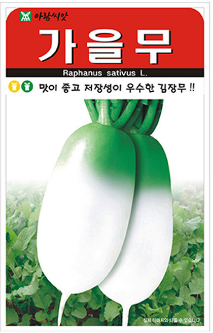 슬로시 무씨앗 가을무 300립, 1개