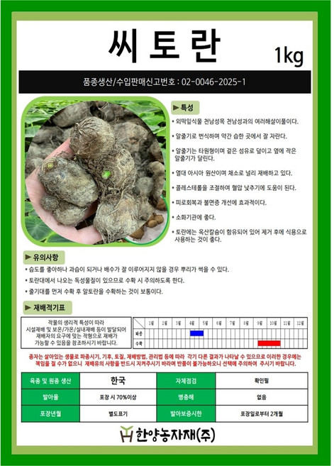 씨종자-국내산 토란 500g 토란종자 토란종근 씨토란 토란씨 토란씨앗 국산, 1개