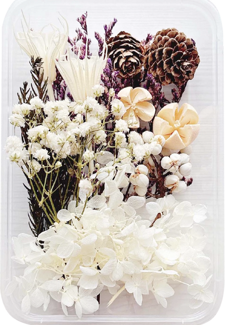 드그라쎄 드라이플라워 모음 박스, 33.화이트 라벤더