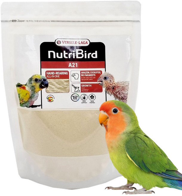 버셀라가 뉴트리버드 A21 앵무새 이유식, 500g, 1개