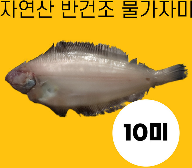 국산 반건조 물가자미 속초 기름가자미 중 10미 (24cm내외), 1개