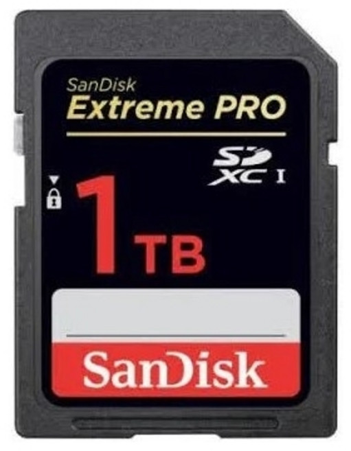 Sandisk 샌디스크 SD UHS-I Extreme Pro 1TB SDXXD-1T00 200MB/s, 1개