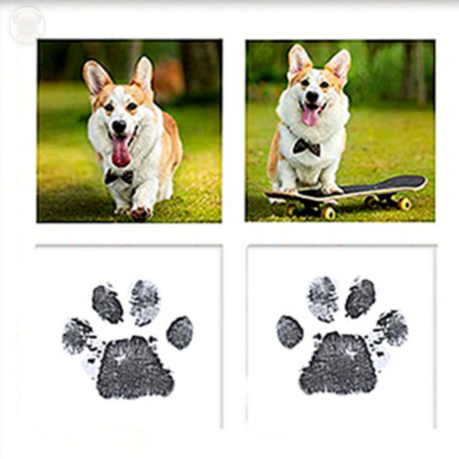 찡코잡화점 강아지 발도장 반려동물발도장, 파