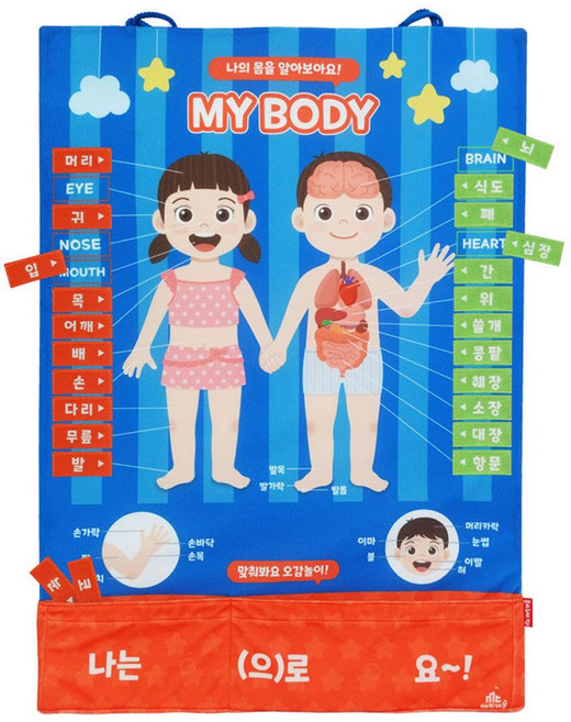 고품질벽걸이차트 나의몸배우기 신체기관 펠트교구 학습벽보, 단품, 1개