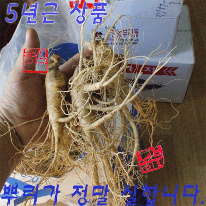 농선 농부마을 5년근 괴산 순수 홍삼진액, 60개, 110ml, 110ml