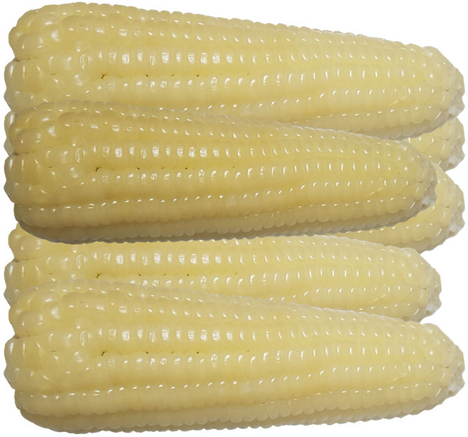 조은상사 냉동삶은옥수수20개 중국산, 1개, 20개, 백찰특대8kg