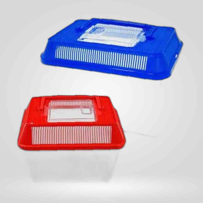 대일 사각 채집통 소 열대어 색상랜덤 관상어 수족관용품, 본상품