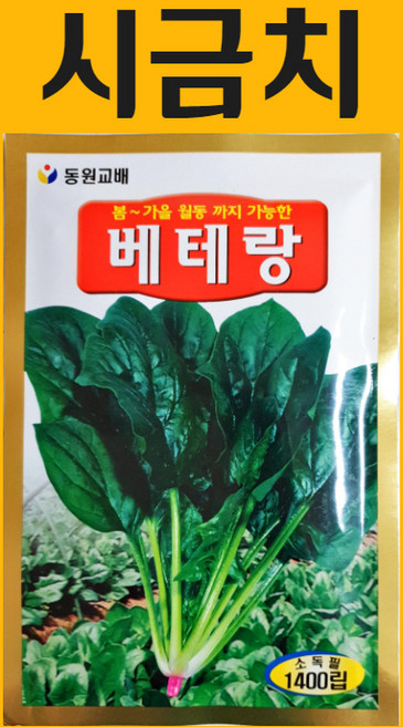 농사친구 시금치 씨앗 1400립 베테랑 동원 씨 종자 모종 항암 배추 고추 맥문동 고수 깻잎 잔디, 1개