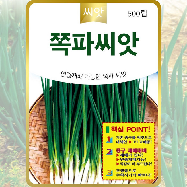 쪽파씨앗 500립 재배가 쉬운 조생종 봄 여름 가을 연중재배 쪽파씨, 1개