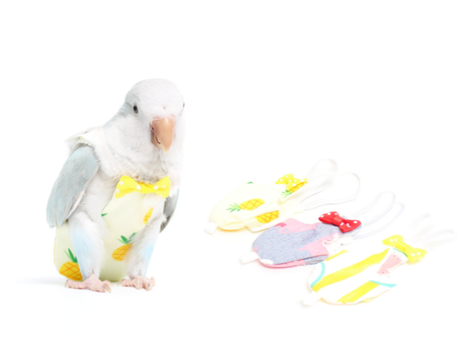 앵무새 기저귀 앵무새 옷, XS, 1개