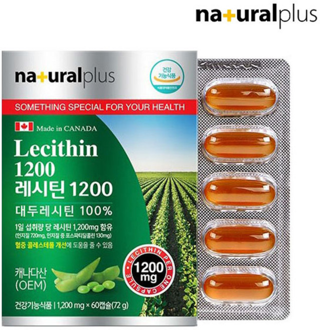 식약처인증 대두 레시틴 분말 캡슐 대두레시틴 100% non-GMO 식물성 대두유 인지질60% 포스 타티 딜 콜린 영양제 골드 혈중 콜레스테롤 개선 식약청인정 효능 여성 남성 건강 추천 캐나다 직구 건강기능식품 홈쇼핑, 60캡슐, 1개