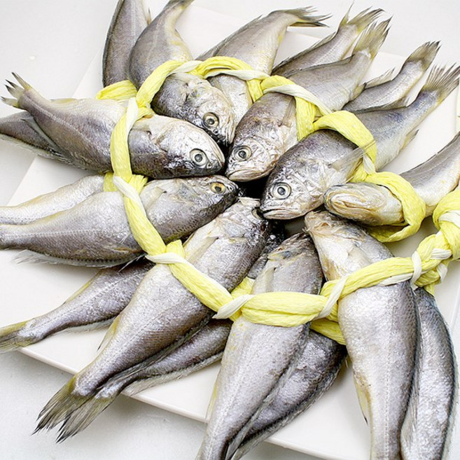 법성정굴비 선물용3호(20미)21cm내외(1.95kg내외), 1개