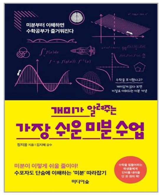 미디어숲 개미가 알려주는 가장 쉬운 미분 수업 (마스크제공), 단품