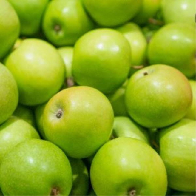 [가산원예조경] 사과나무/아오리 이중접목1년 2주묶음