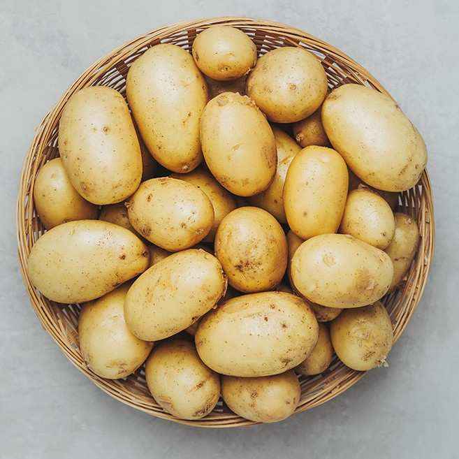 늘바른 국산 친환경 무농약 햇감자500g개당80g이상, 1개, 단품