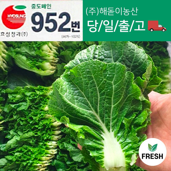 <해돋이농산> 국내산 쌈추 쌈배추 쌈야채 쌈채소 2kg 내외, 1박스, 2kg내외
