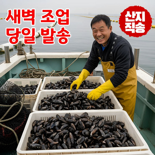 어부의뜰 국산 홍합 자연산 피홍합 손질 생 세척 다듬이, 1개, 10kg