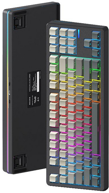 RICCKS 릭스 RS8 유무선 기계식 키보드 텐키리스 87키, 태극축, 블랙 (측각)