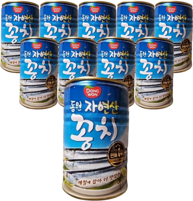 동원 자연산 꽁치 300g, 10개
