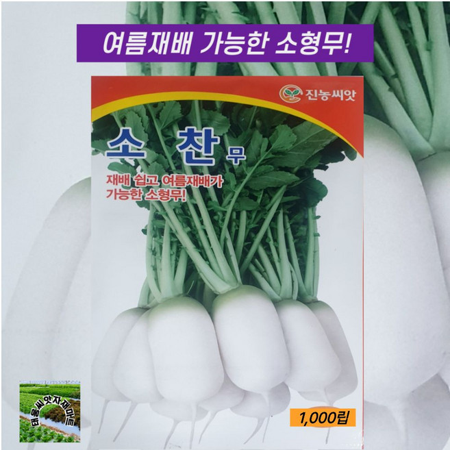 소찬무씨앗 1000립 1개 재배쉽고 여름재배가 가능한 소형무