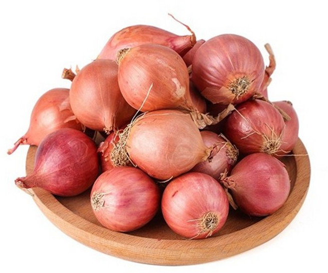 중국식품 중국 전통양파 샬롯 모충, 1개, 1KG