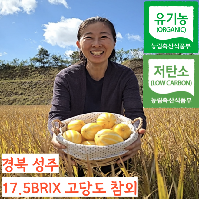 [유황농법] 명품 유기농 친환경 고당도 꿀 성주 참외 선물용, 1개, 가정용 못난이 5kg