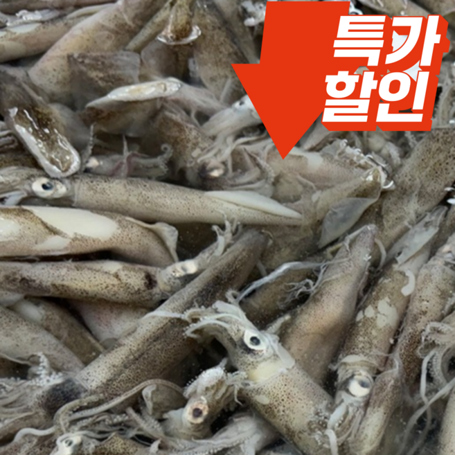 [초특가세일]강력추천 부드럽고 고소한 한입 한치, 1박스, 5kg