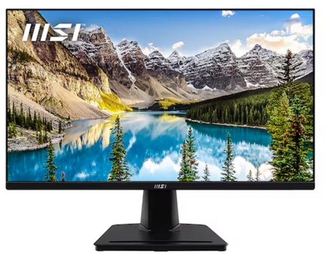 MSI FHD IPS 100 아이에르고 모니터, 62cm, MP251