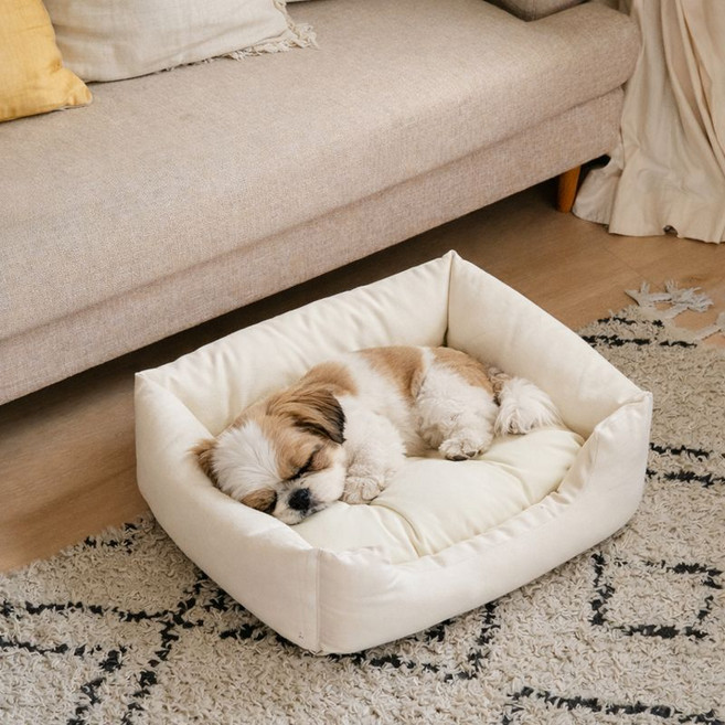 강아지용 캔버스 애견쿠션+베드, 아이보리, 1개