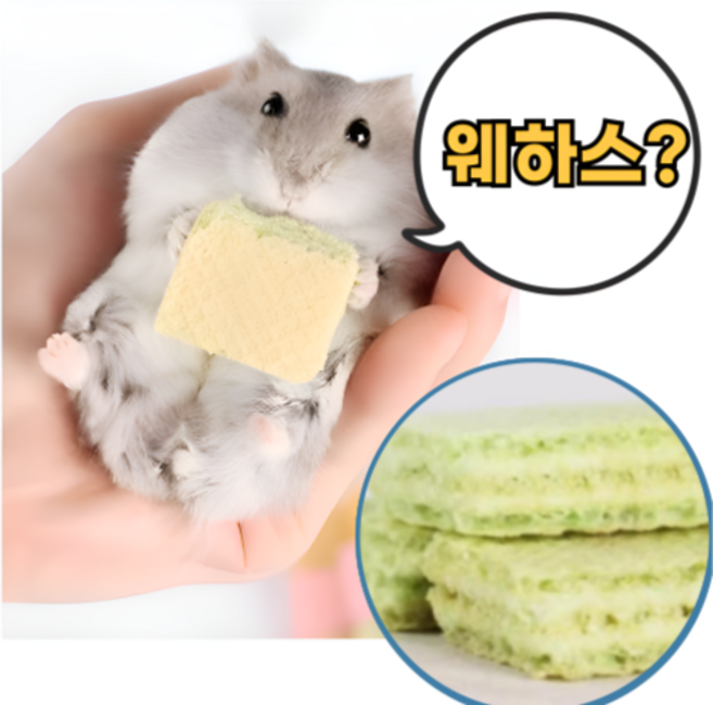 햄스터간식 사과 웨하스 이갈이 골든햄스터 간식 이갈이 먹이 사료 밥, 1세트, 6개