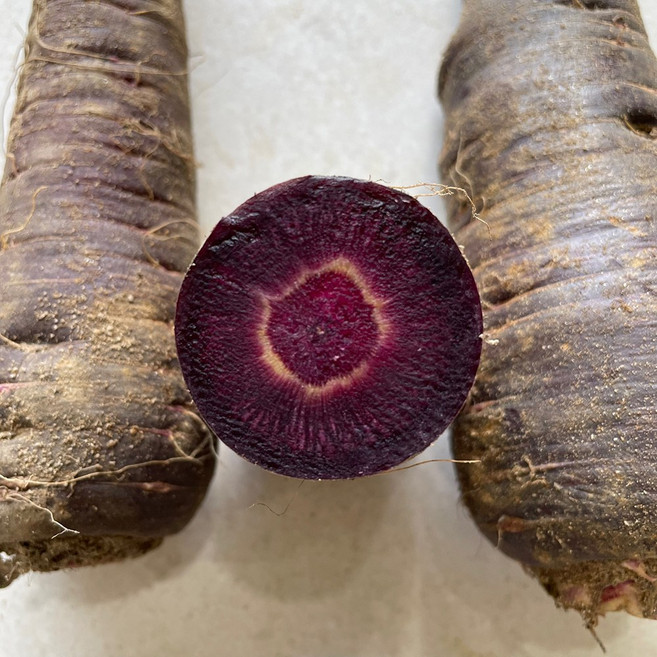 국내산 제주 구좌 햇 자색당근, 2kg, 1박스