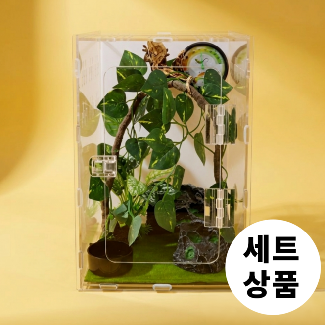 필핏 크레스티드 게코 사육장 도마뱀 파충류 은신처 세트, 그린홈세트, 그린홈세트, 1개