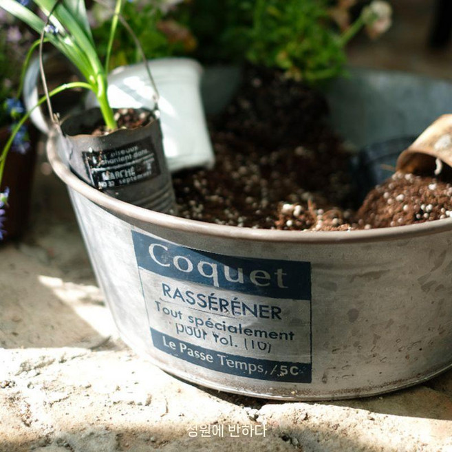 양철화분 철제 빈티지 가드닝 다라이 바구니 정원 장식 통, 철판은 비다공성이며 토양 분지의 철판 색상이 혼합되어, 1개