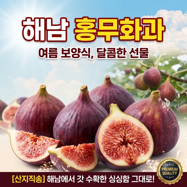 [단독특가] 해남 홍무화과 꿀무화과 생무화과, 1박스, 500g
