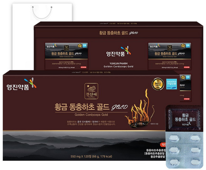 영진약품 국내산 황금 동충하초 골드 4개월분, 1박스, 120정