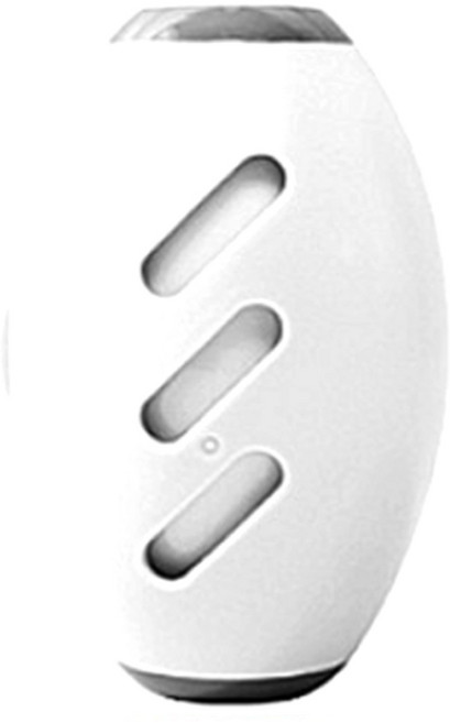 더바른 반영구 돌돌이 미니 휴대용 털제거기 강아지 고양이 털 제거기, 1개, 흰색