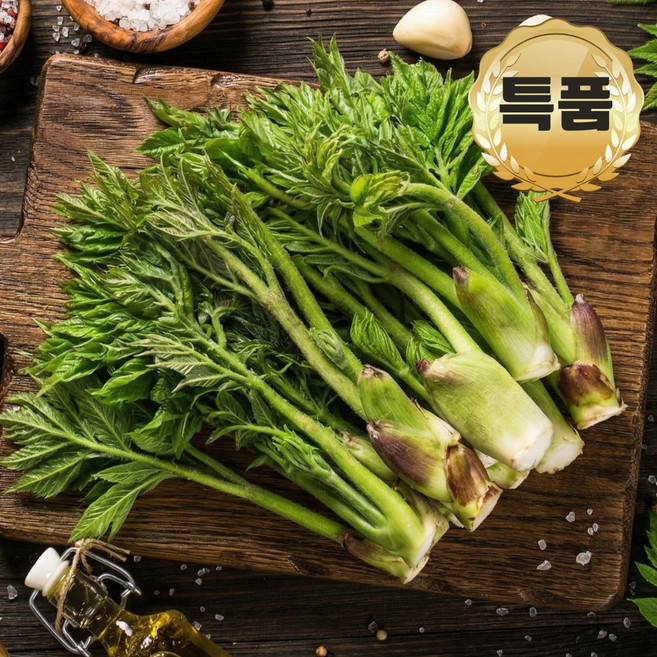 [봄맞이특가] 한정수량 산지직송 국내산 특품 땅두릅, 500g, 1박스