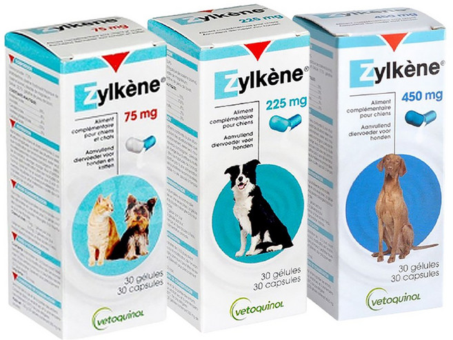 질켄 강아지 스트레스 해소 완화 영양제 소형견 중형견 대형견 베토퀴놀 반려동물, 75mg, 1개