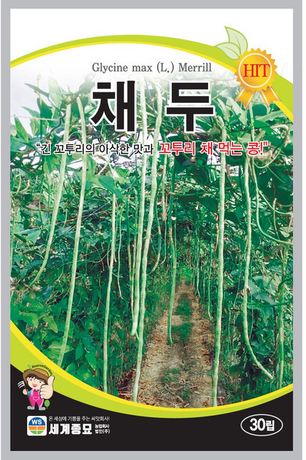 채두 씨앗 30립 텃밭 채소 씨, 1개
