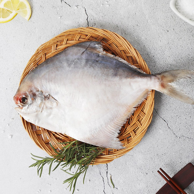 국산 병어 목포 생물 병어 손질 참병어 덕자, 1개, 특대(400~450g 29cm내외)