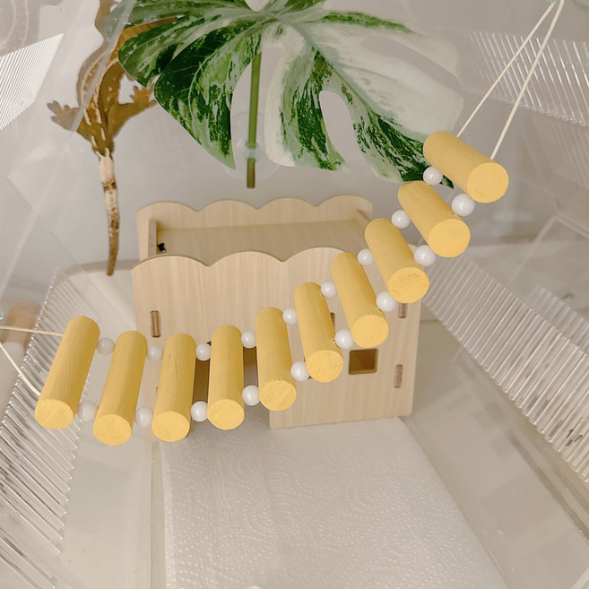 야야랜드 파스텔 사다리 백업 출렁다리 징검다리 도마뱀 파충류 놀이터, 옐로우, 1개