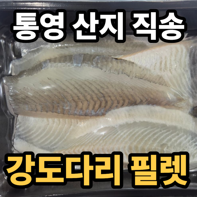 [통영직송] 강도다리 필렛 도다리 세꼬시 회, 1세트, 강도다리 필렛 500g