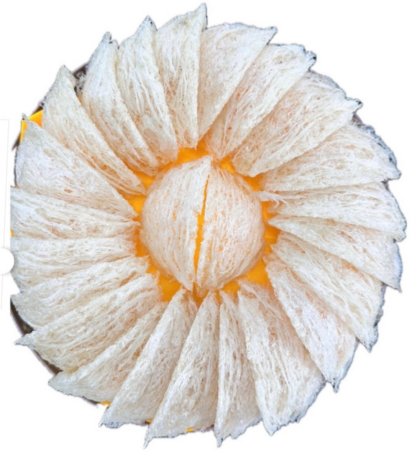 武燕 特選燕窩禮盒 25g 1盒