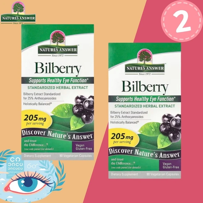 Natures Answer Bilberry Herbal Extract 빌베리 추출 205mg 90캡슐 x2팩, 2개, 90정 - 쿠팡