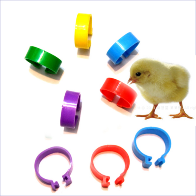 병아리 닭 인식표 발목밴드 조류인식표 다리밴드 팔찌, 인식팔찌18mm(10개), 1개