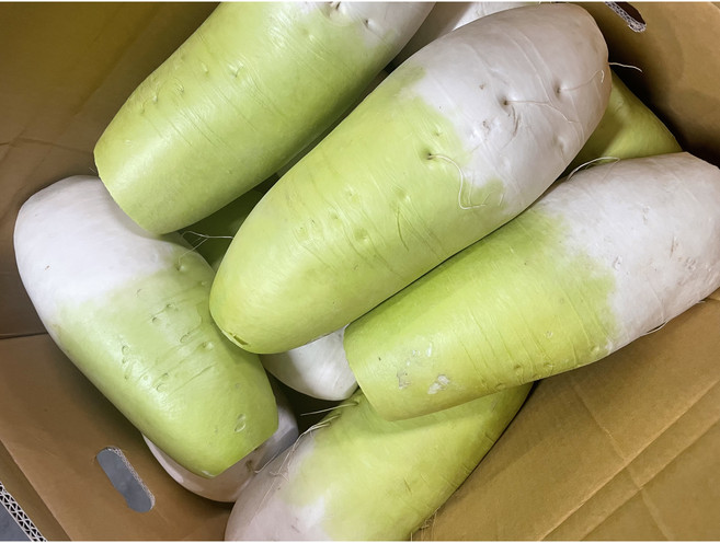 (당일경매) (당일출고) 아삭하고 달큰한 국내산 무 5kg 10kg 20kg 1박스 (최상급) (제주산), 1개