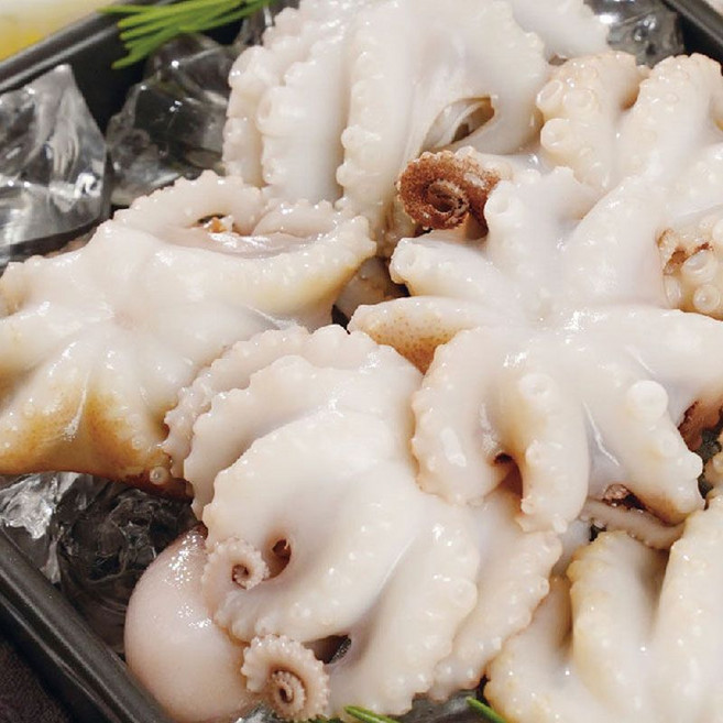 알렉스 손질 통 주꾸미, 5개, 600g