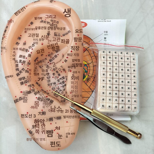 대형 지압점 귀모형 및 교육 혈점 모형 귀 모델 교육용, 다중 침점 책+동펜+핀셋+600개+침점, 1개, 1cm