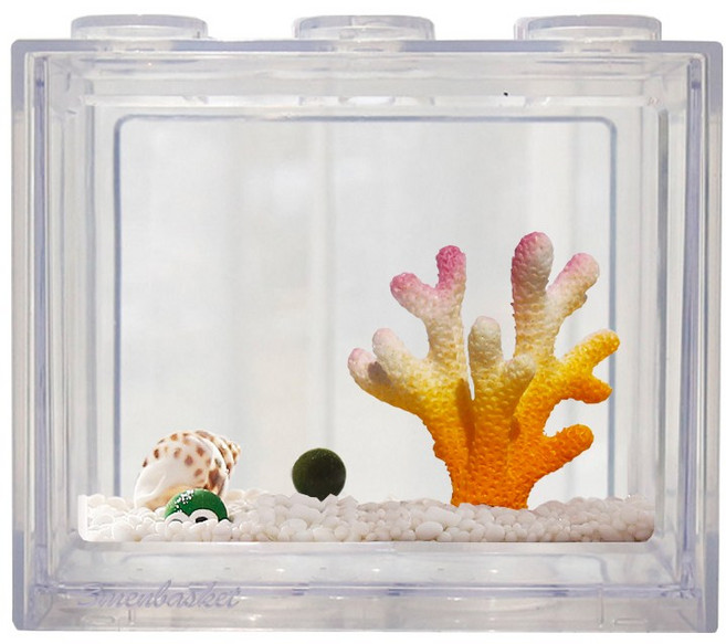 세남자바스켓 언더더씨 국산 마리모 DIY 세트 키우기-마리모(소), 옐로우핑크산호+흰자갈100g, 1개