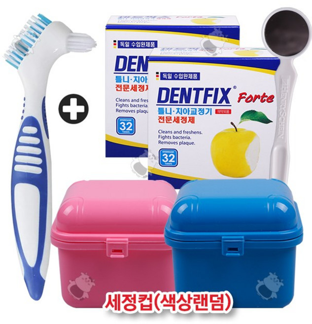 덴트픽스 포르테 틀니세정제 64정+닥터효 틀니칫솔+구강미러+보관케이스(색상랜덤), 1세트, 1개입